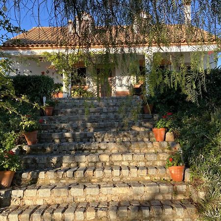 Casa Rural "El Carrasca" El Carrascalejo Luaran gambar