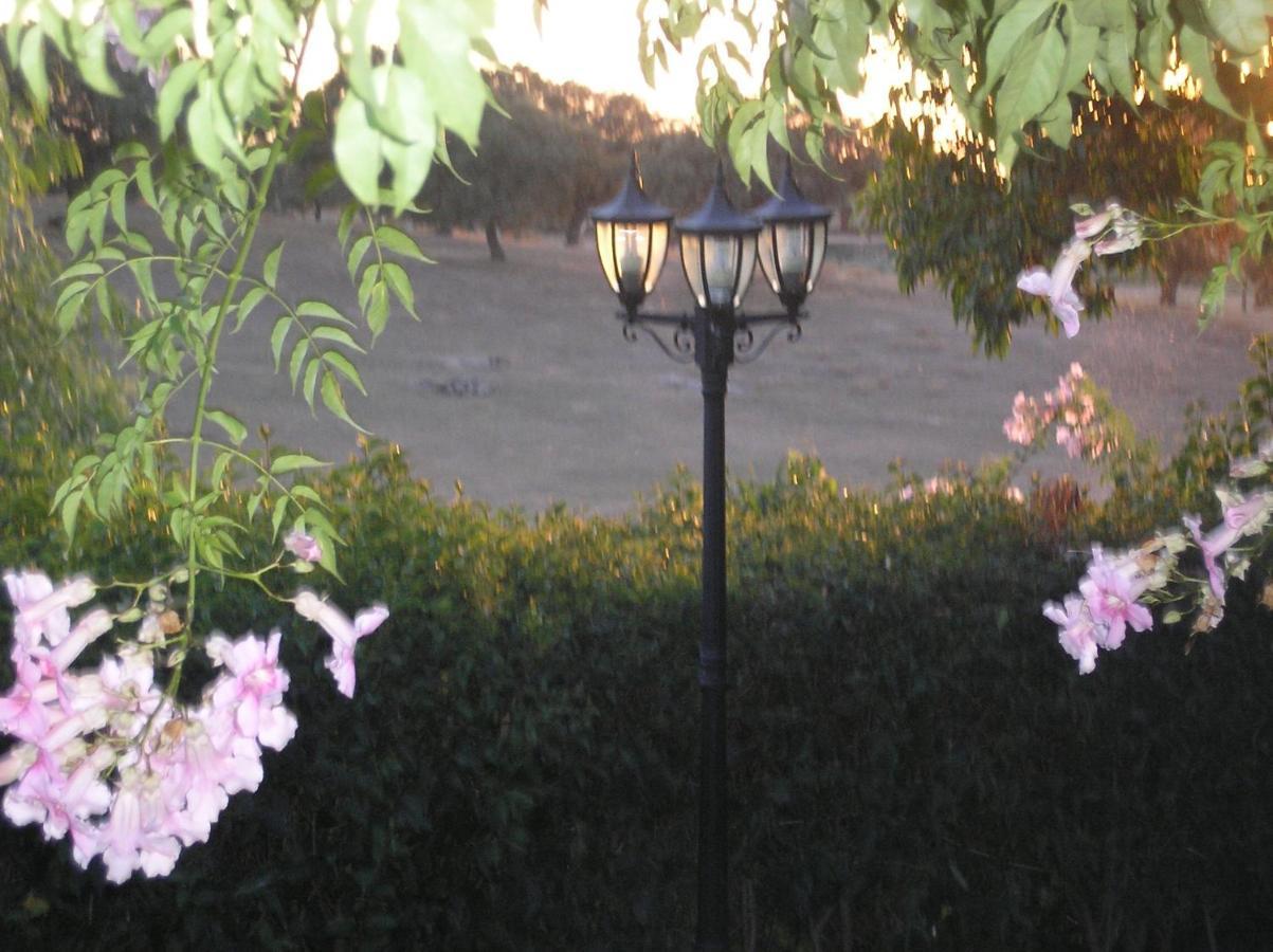 Casa Rural "El Carrasca" El Carrascalejo Luaran gambar