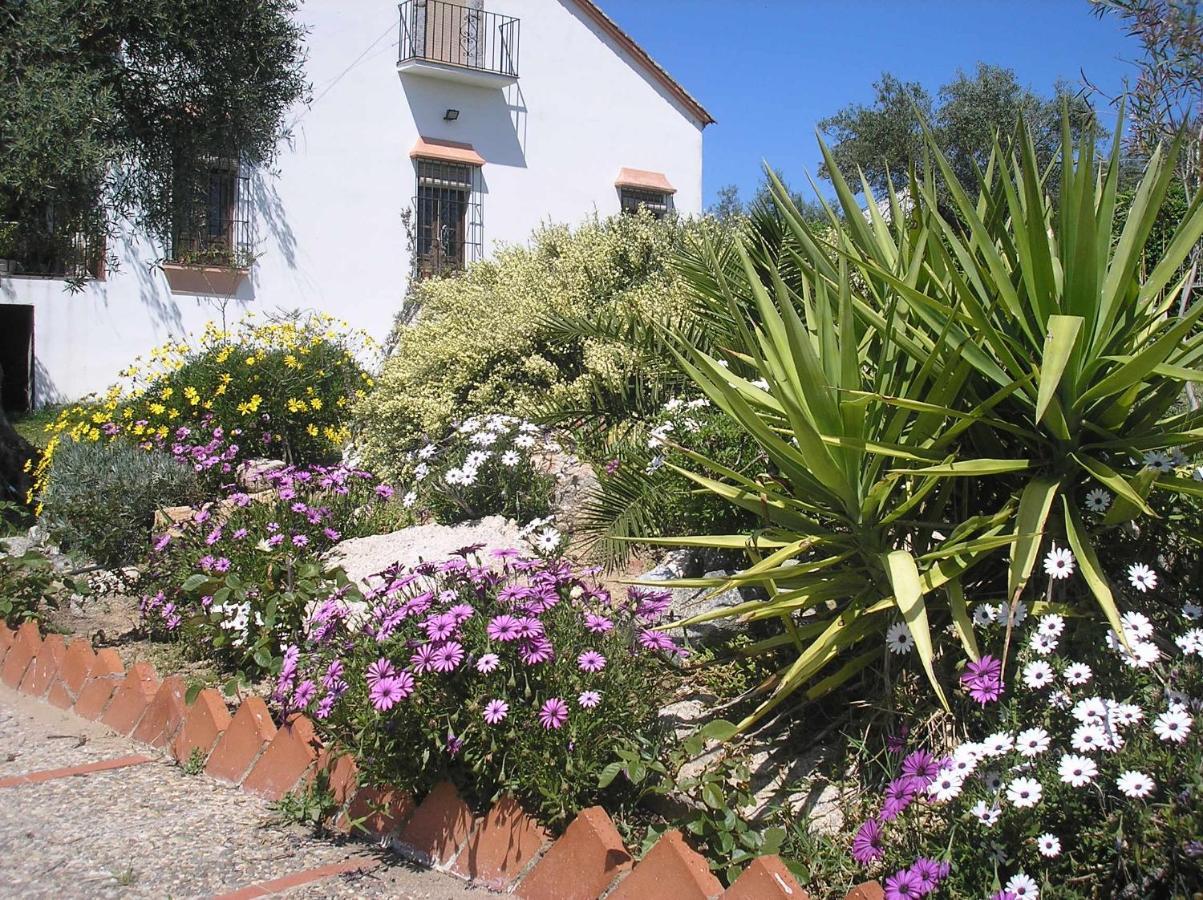 Casa Rural "El Carrasca" El Carrascalejo Luaran gambar