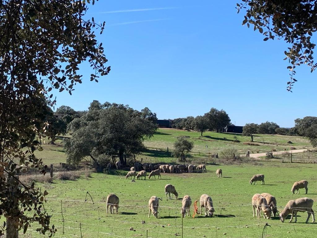 Casa Rural "El Carrasca" El Carrascalejo Luaran gambar